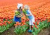 Dutch boy names