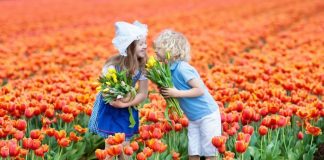 Dutch boy names