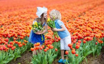 Dutch boy names