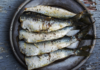 Can Pregnant Women Eat Sardines?